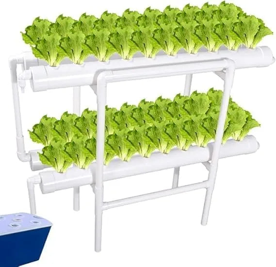 NFT System – Meridian